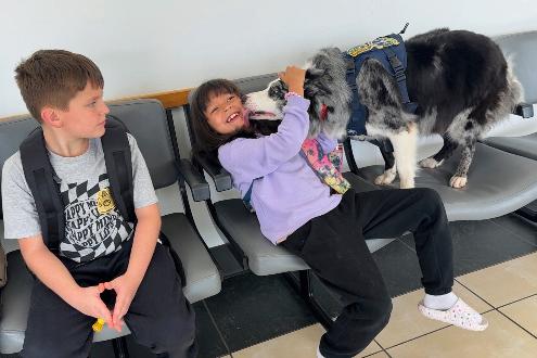 Hercules greets a passenger Thursday, May 15, 2025, at West Virginia International Yeager Airport, where he is used to keep birds and other wildlife away from the airfield, in Charleston, W.Va. (AP Photo/John Raby)
