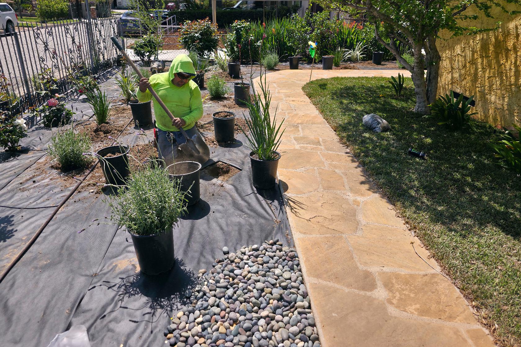 Wildfires Smoke Damage