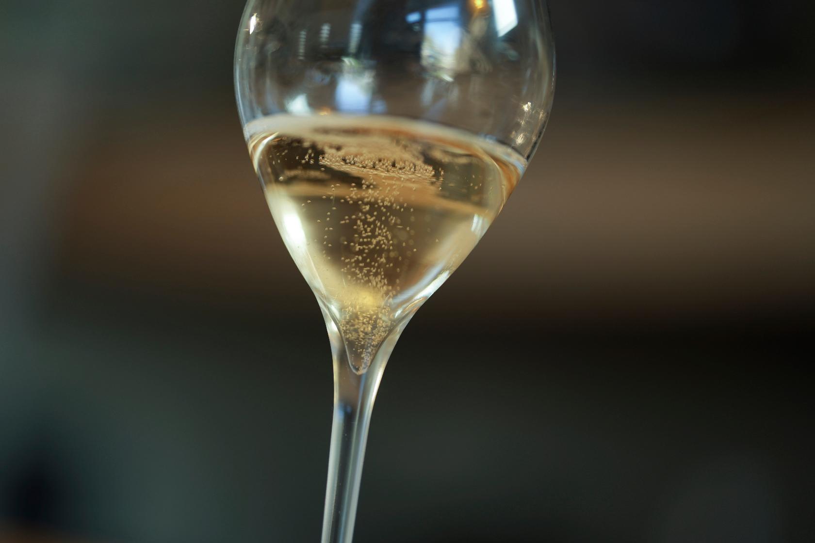 France US Trump Tariffs