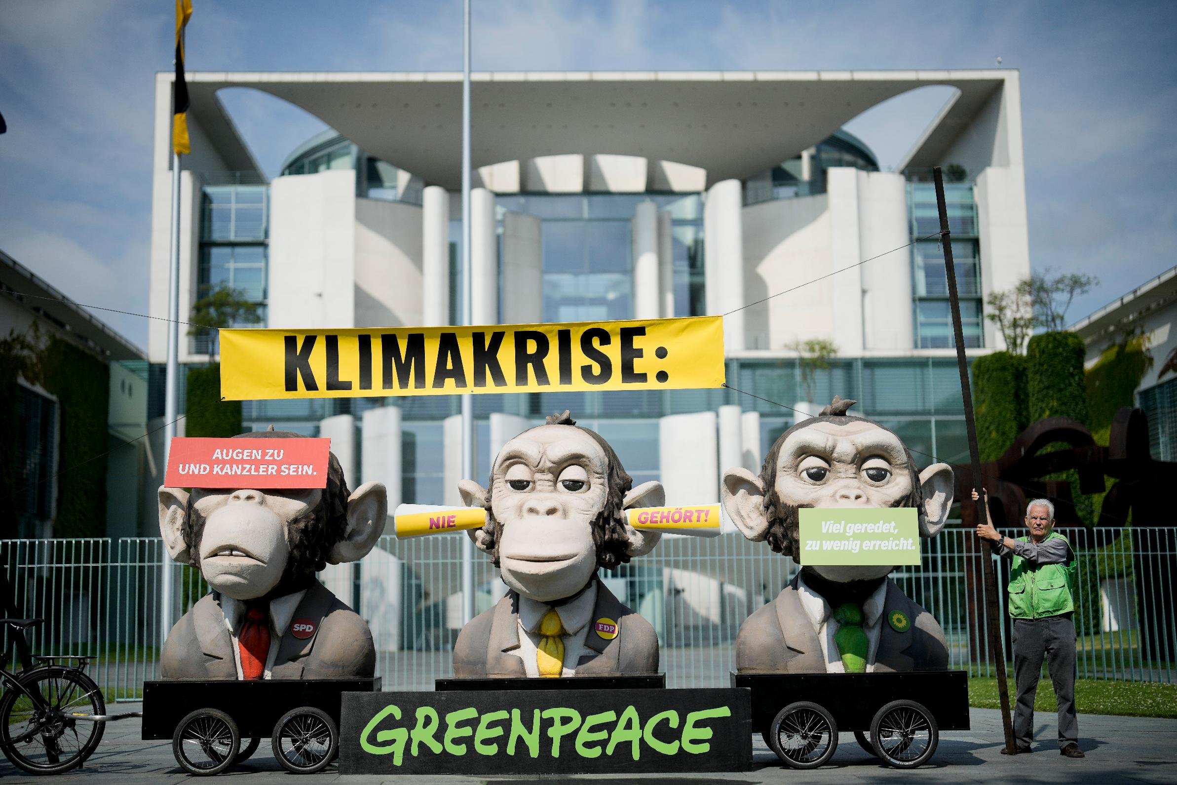 Greenpeace Things to Know