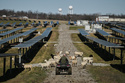 Daniel Bell drives between solar panels and his sheep flock Friday, Feb. 20, 2026, at a farm in Lancaster, Ky. (AP Photo/Joshua A. Bickel)