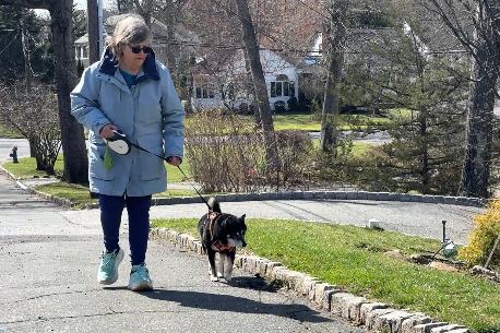 Retiree Barbara Baratta walks a dog, Duncan, in Short Hills, N.J. on March 17, 2026. (AP Photo/Cathy Bussewitz)