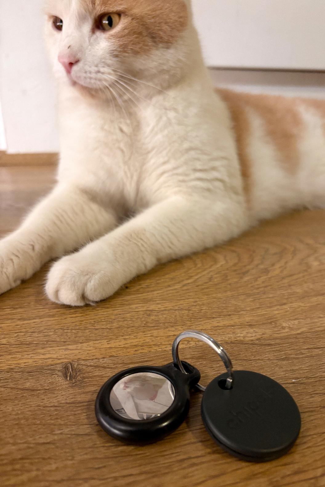 One Tech Tip Tracking Your Pet