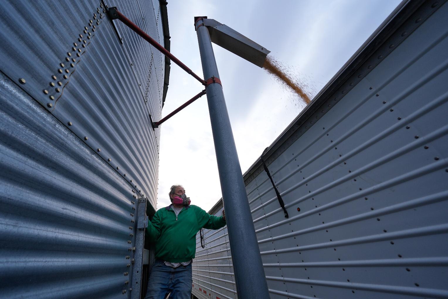 Doug Bartek transfers soybeans from a storage bin to a truck on his farm near Wahoo, Neb., on Monday, April 6, 2026. (AP Photo/Charlie Riedel)