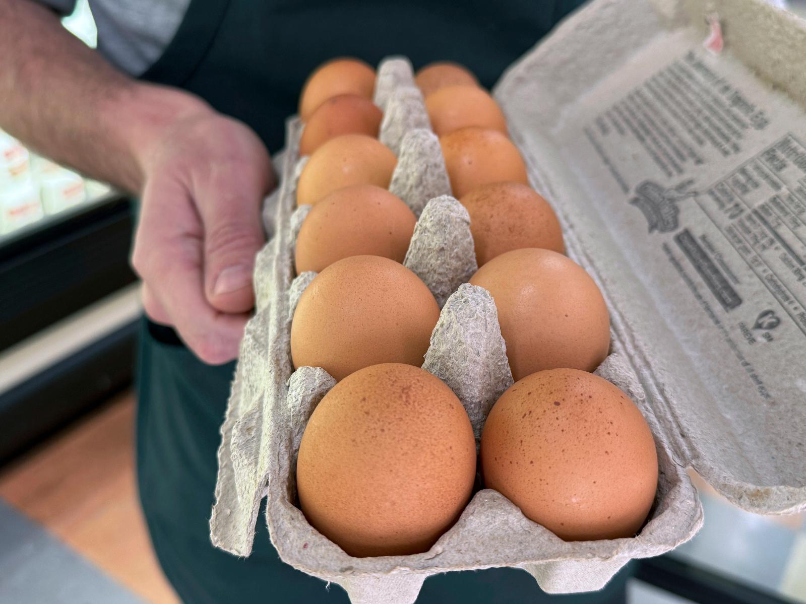 US Egg Prices