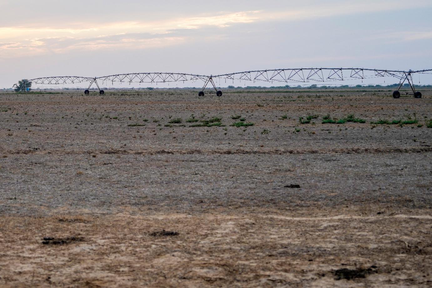 Rusting pipes stand in a barren field outside Niéti Yone, northern Senegal, Monday, Dec. 9, 2024. (AP Photo/Jack Thompson)
