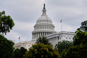 Congress