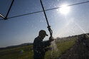 Matt Lisignoli shuts off an irrigation sprinkler at his farm, Smith Rock Ranch, in the Central Oregon Irrigation District on Tuesday, Aug. 31, 2021, in Terrebonne, Ore. The stark contrast between the water haves and have-nots two hours southeast of Portland has brought new urgency to efforts to share the resource. Proposals to create "water banks" or "water markets" would allow farmers with excess water to "lease" it to those in need. (AP Photo/Nathan Howard)