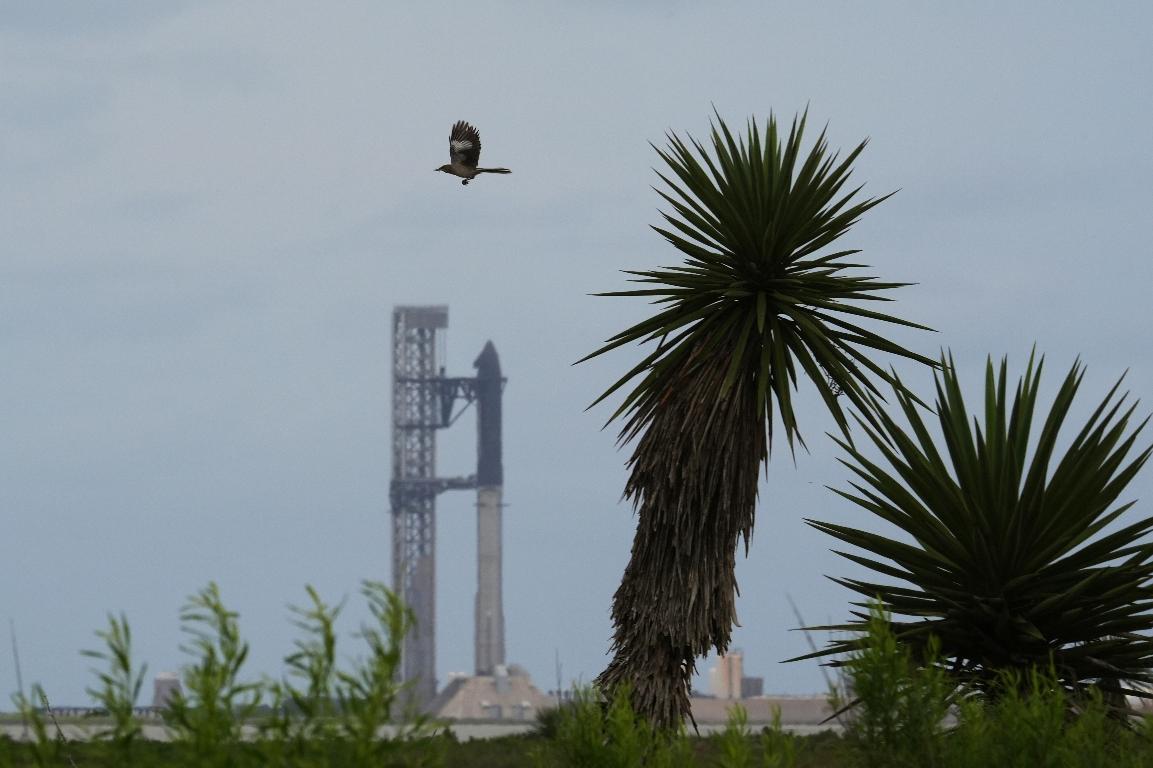 SpaceX's mega rocket Starship is prepared for a test flight that was later delayed in Starbase, Texas, Thursday, May 21, 2026. (AP Photo/Eric Gay)