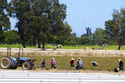 Immigration California Farms