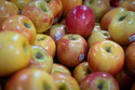 Apples are displayed for sale in the produce section of a grocery store on Monday, May 11, 2026, in Portland, Ore. (AP Photo/Jenny Kane)