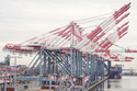 A container ship is docked at the Port of Long Beach Friday, Feb. 20, 2026, in Long Beach, Calif. (AP Photo/Damian Dovarganes)