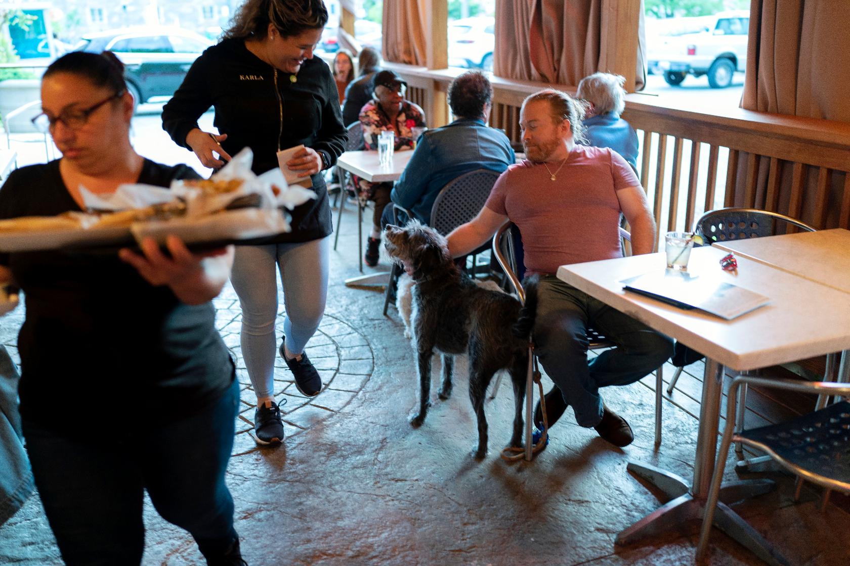 More dogs could show up in outdoor dining spaces. Not everyone is happy