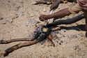 Miners heat processed gold concentrate over an open fire at an artisanal mining site in Dalago Mahas, Sudan's Northern State, Friday, May 8, 2026.(AP Photo/Mohnd Blal)
