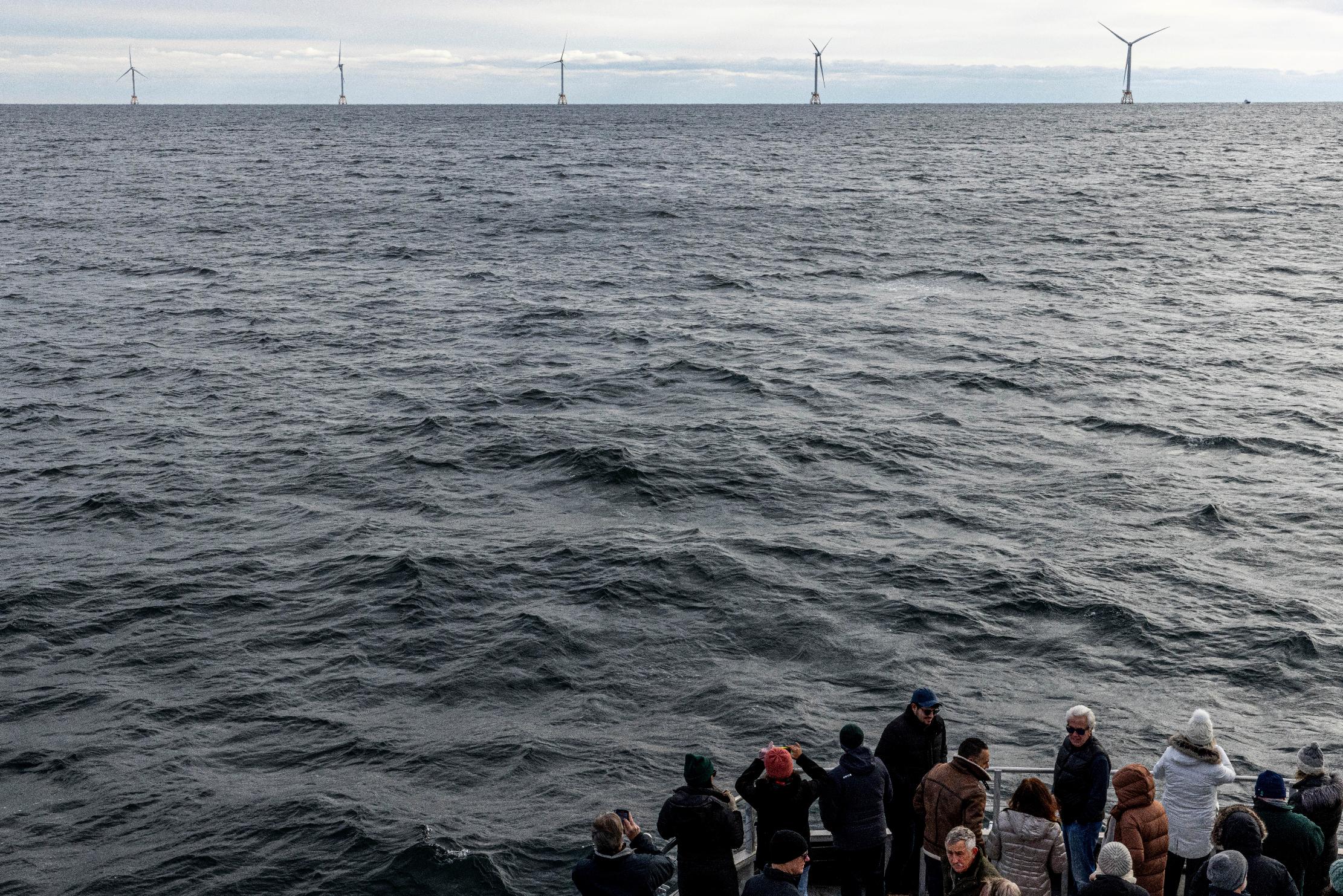 Contrary to politicians' claims, offshore wind farms don't kill whales ...
