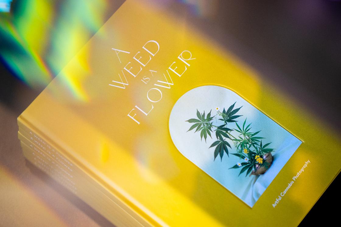 A book of marijuana is on display at Housing Works Cannabis Co, Thursday, April 23, 2026, in New York. (AP Photo/Angelina Katsanis)