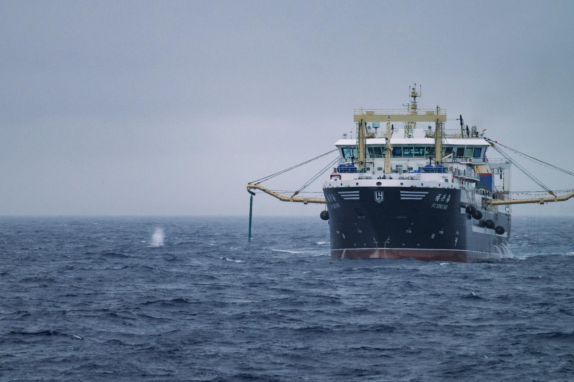 A record catch of krill near Antarctica could trigger an unprecedented end  to fishing season