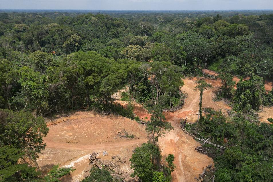 An aerial view shows a forest where Bea Mountain Mining Corporation is conducting exploration near Gbargbo Village, Liberia, July 11, 2025. (AP Photo/Misper Apawu)