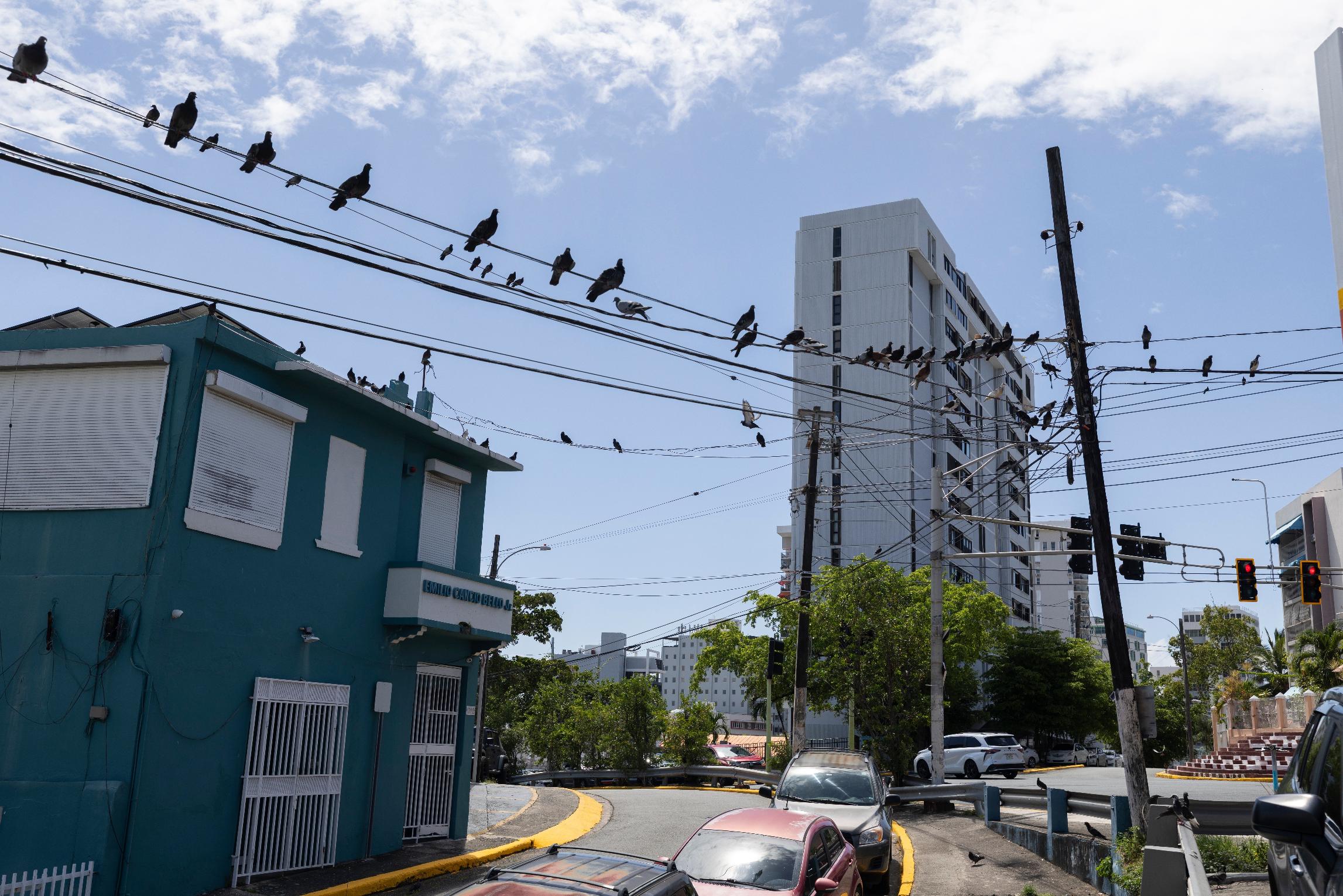 Puerto Rico Energy Crisis