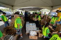FILE - Volunteers sort produce under a tent during a Hawaii Foodbank pop-up food distribution at Leeward Community College, Nov. 9, 2025, in Pearl City, Honolulu County, Hawaii. (AP Photo/Mengshin Lin, File)