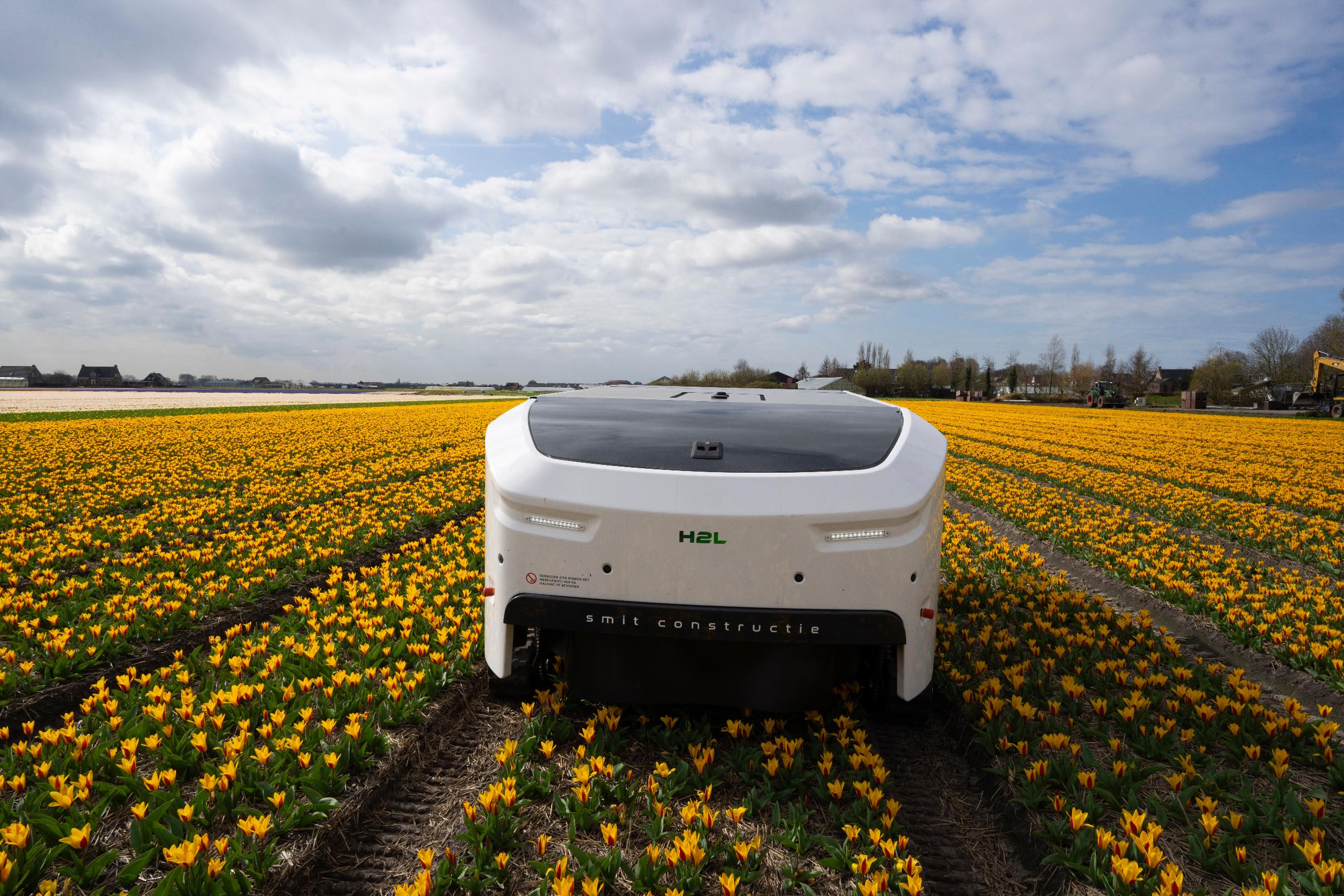 Netherlands Tulip Robot