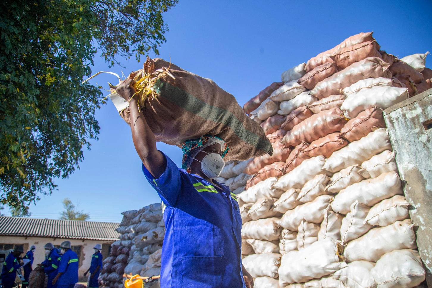 Zimbabwe Tree of Life