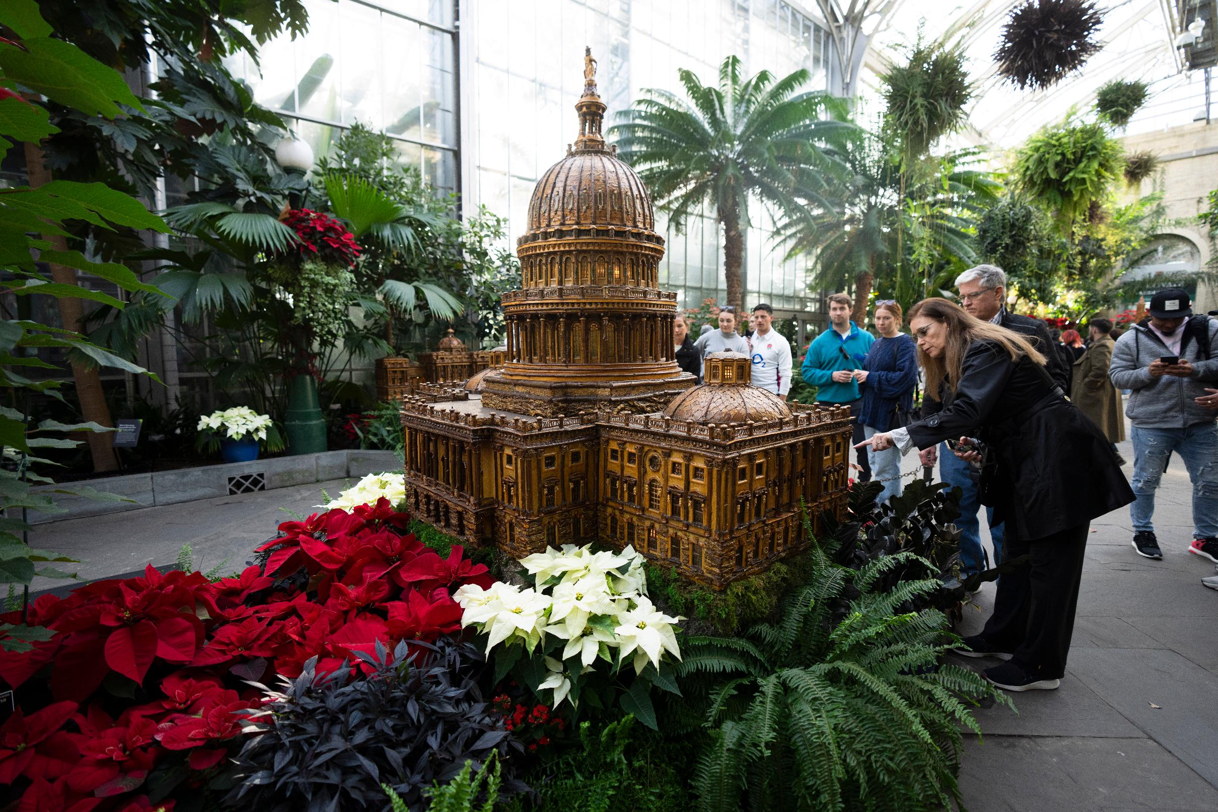 The checkered history of the poinsettia's namesake and the flower's