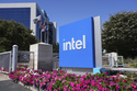 Intel Trump